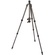 3 Legged Thing Punks Series Billy Carbon Fiber Tripod with AirHed Neo Ball Head (Black)