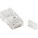 StarTech Solid Wire Cat 6 Modular Plug (50 Pack)