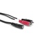 Hosa CFR-210 RCA to Mini Breakout Cable 10ft