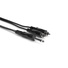 Hosa CYR-102 1/4'' to RCA Y-Cable 2m