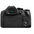 Panasonic Lumix DMC-FZ300GNK Digital Camera