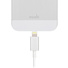 Moshi 3.2' USB Cable with Lightning Connector (White)