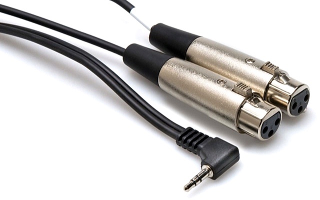 Hosa CYX-402F 3.5mm to XLR Y-Cable (2ft)